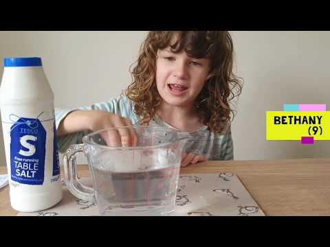 Garsington CE Primary School Science GOES GLOBAL! #GreatSciShare #GlobalSciShow