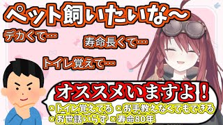 あたる屋から飼いやすいペットをオススメされる数打あたる