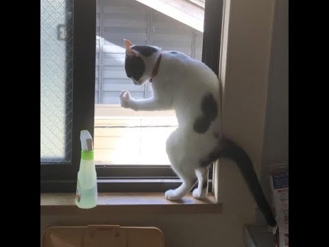 BIG OOF (we ended up losing)