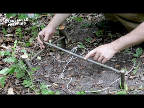 Simplest DIY Spring Snare Trap  - Bushcraft Small Game Trap