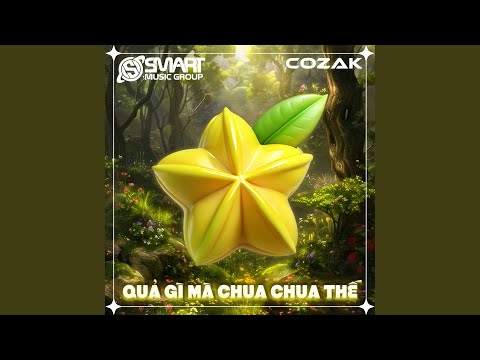 Quả Gì Mà Chua Chua Thế (feat. Vinh Boö) (Remix)