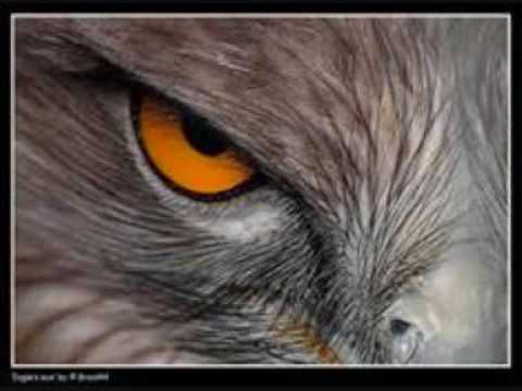 Drum and Bass Mix August 2016 - Sniper Vision (By Jєtʈƒ!rє)