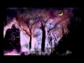 Shadows In The Mist.mp4