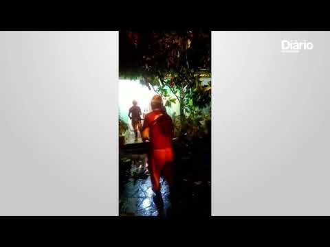 Chuva com vento derruba árvores e uma marquise em Sobral