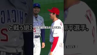 鈴木誠也、大谷翔平の言葉に涙ｗｗ「大会で会おう」約束の裏側に世界が感動！