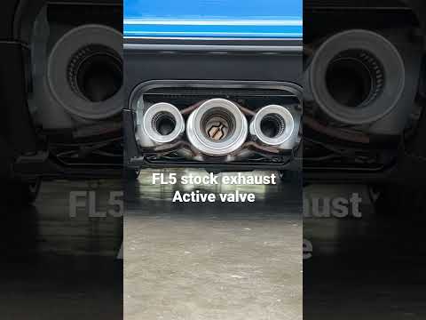 FL5 Exhaust active valve. Sport and +R mode.  We will be making a huge improvement to this.