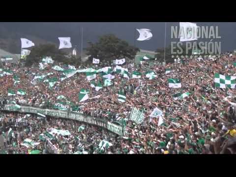 "Salida verdolaga contra Chicó en el día del hincha.// nacionalespasion.com" Barra: Los del Sur • Club: Atlético Nacional