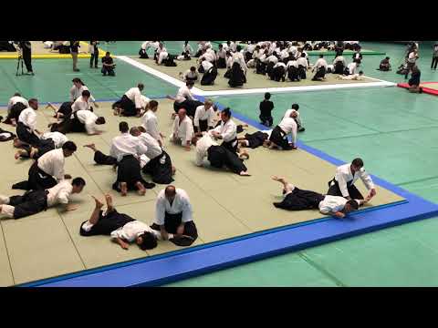 Aikikai Hombu Dojo 57th All Japan Aikido Demonstration 2019