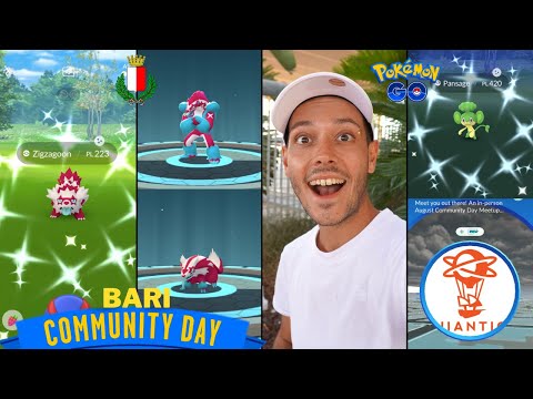 COMMUNITY DAY a BARI di ZIGZAGOON! - Pokémon GO