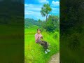 Maya Pirati Mohitrautela7357 Kumaoni Song Nikitagusain