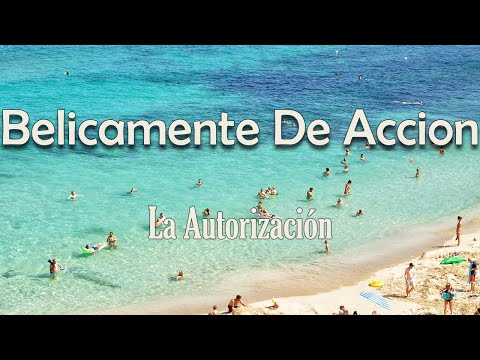 La Autorización - Belicamente De Accion (Letra) | Me cuelgo un chaleco, me montó mi cuerno