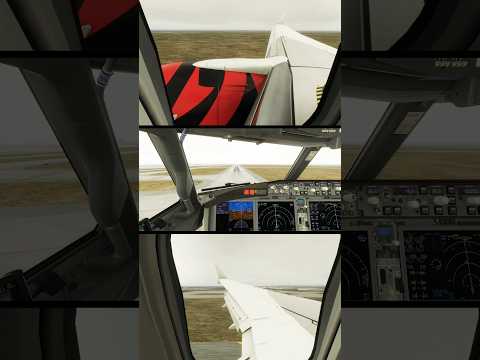 Fantastic Snowy 737MAX #landing in Denver - #southwest #boeing 737MAX in #xplane #flightsimulator
