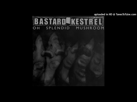 Bastard Kestrel - Bruising