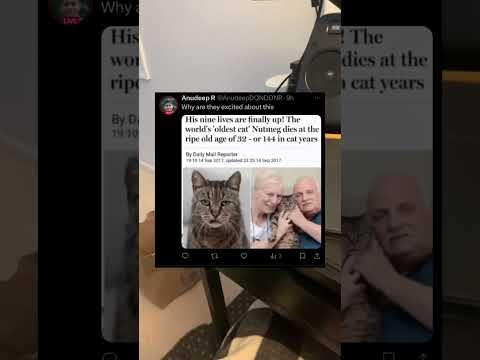 Thanks nutmeg I love you