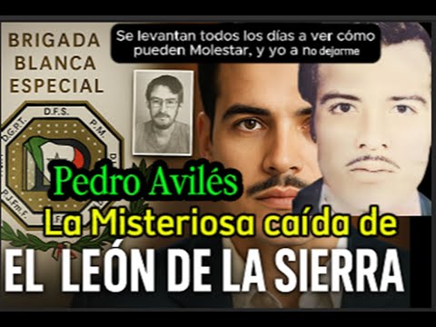 The Last Night of the Sierra Lion (Pedro Avilés)