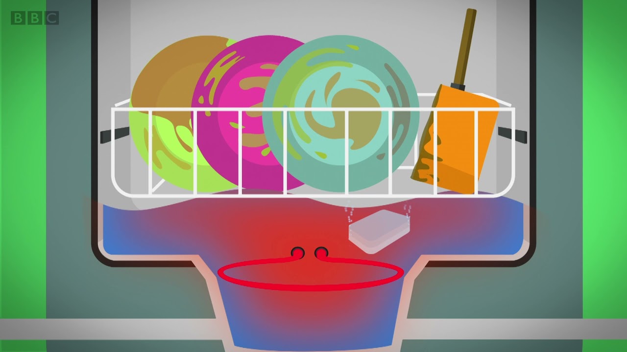 THIS IS HOW A DISHWASHER CLEANS DISHES - Maddie's Do You Know? 👩