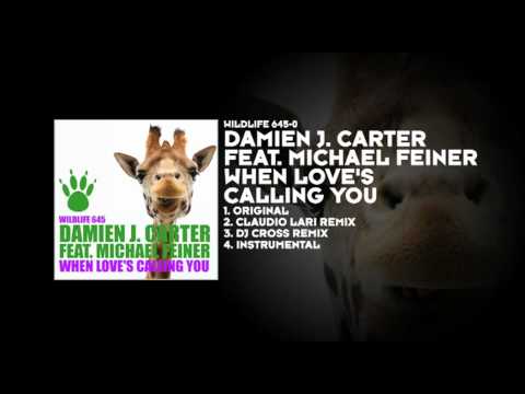 Damien J. Carter featuring Michael Feiner - When Love's Calling You