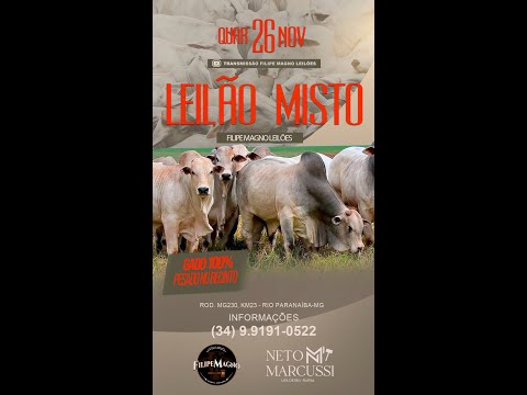 LEILÃO MISTO 26/11/2025 - FILIPE MAGNO LEILÕES - RIO PARANAÍBA-MG
