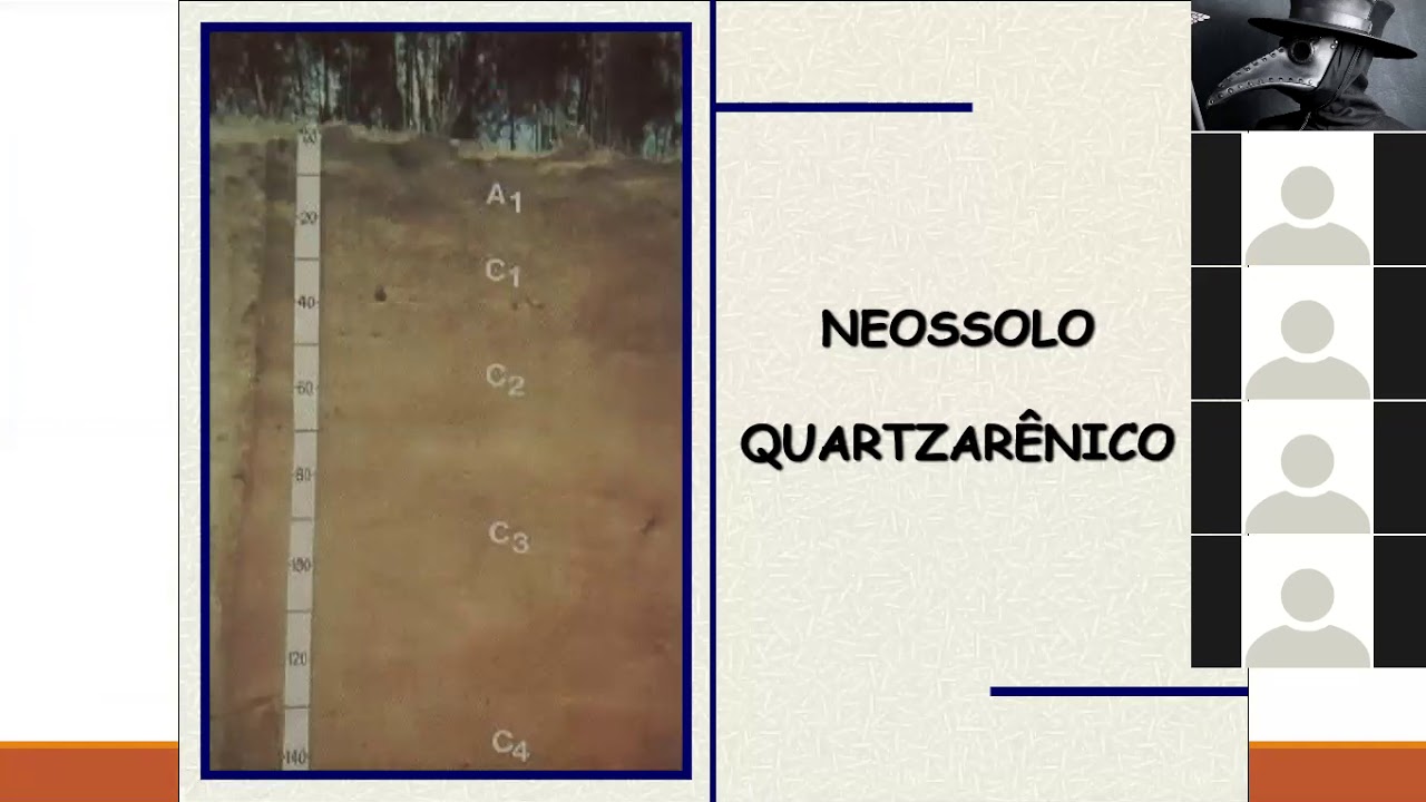 Levantamento e Classificação de Solos - Neossolos e Vertissolo