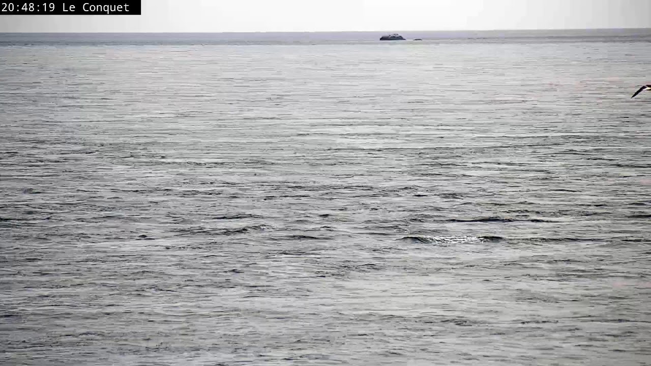 Live webcam view of Kermorvan Lighthouse Sea Channel