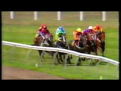 1993 Surround Stakes