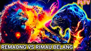 Download lagu Bunsu Remaong Enggau Rimau Belang Tusun-3 mp3 Download lagu Bunsu Remaong Enggau Rimau Belang Tusun-3 mp3
