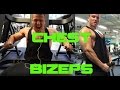 Fitness Workout MorefitGYM Austria/Österreich - Chest/Bizeps