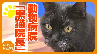 17歳　動物病院の「黒猫院長」