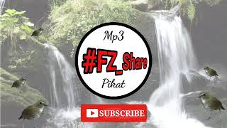 Download lagu Suara Terapy Air untuk Jongkangan Coklat mp3 Download lagu Suara Terapy Air untuk Jongkangan Coklat mp3