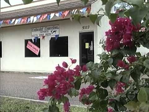 Bottom Line Archives