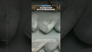 Mengenal Jejak Batu dalam Sejarah Kehidupan Manusia sebagai Fondasi Peradaban yang Tak Pernah Usang