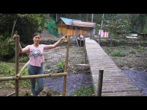 228 Days CEO Leaves The City for The Forest - Build a gate and fence to bridge over the stream