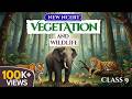 Natural Vegetation And Wildlife Class 9 Full Chapter Animation Class 9 Geography Chapter 5 CBSE