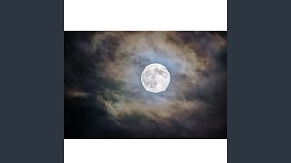 You Could&#39;ve Been Mine