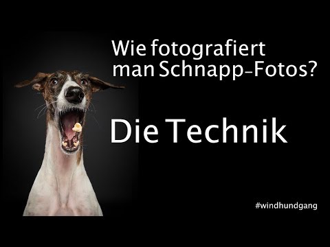 Hundefotografie - Hunde fangen Leckerlis - Technik HowTo