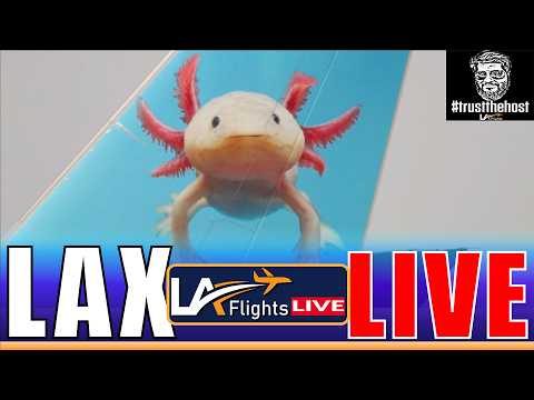 🔴LIVE (LAX) PLANE SPOTTING | LOS ANGELES (LAX) AIRPORT | February 11 , 2026