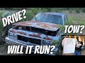 ABANDONED 1977 Caprice Classic! Field Find After 24 Years! WILL IT RUN?!?