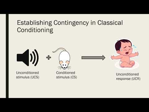 Contiguity and Contingency in Classical and Operant Conditioning