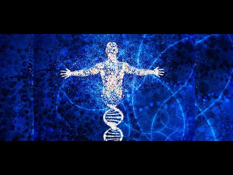 Gene Conversion and Y Chromosome Prove Biblical Creation