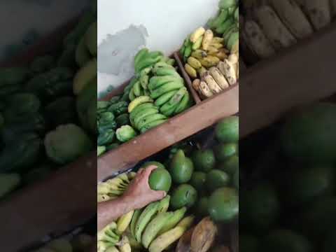 cantinho do Omar próximo ao correio coluna Minas gerais
