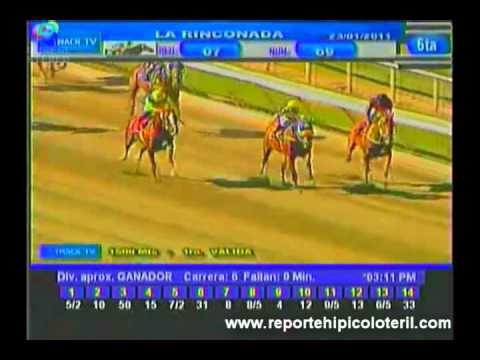 Resumen La Rinconada Domingo 23/01/2011