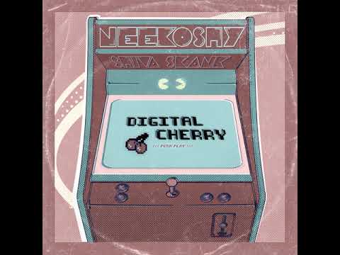 Neekoshy & Shiva Skank - Show me Love Riddim