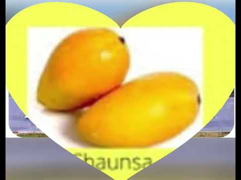 Famous fruits and types of mangoes and state names