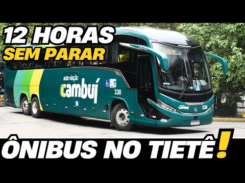 UM DIA INTEIRO NA MAIOR RODOVIÁRIA DO BRASIL, A RODOVIÁRIA DO TIETÊ | EPISÓDIO 3