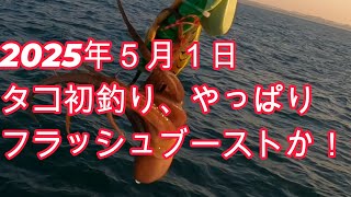 ２０２５年５月１日明石初タコ釣り！どんなエギが釣れるか！