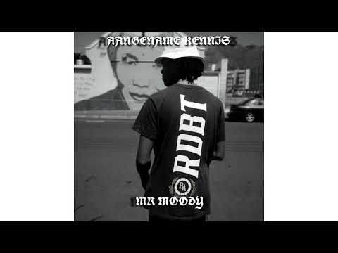 Mr Moody - Aangename Kennis