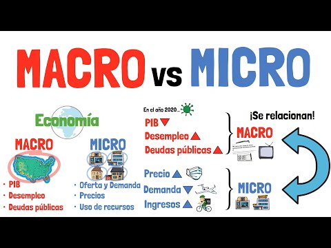 MACROECONOMICS and MICROECONOMICS - Explained for beginners!