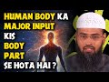 Human Body Ka Major Input Kis Body Part Se Hota Hai ? By Adv. Faiz Syed