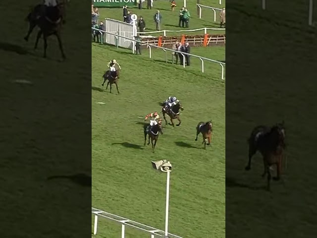 Thumbnail for Post ID: MMGMmjbNENM