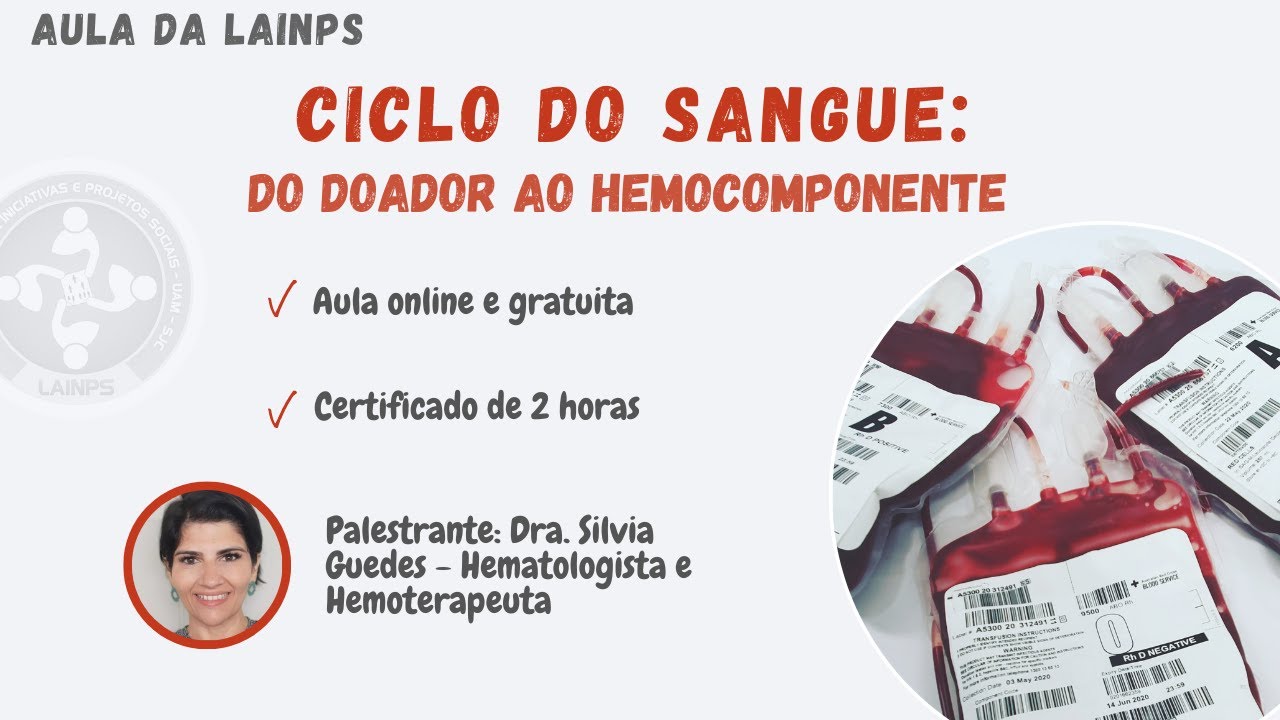 Ciclo do sangue: do doador ao hemocomponente